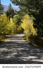 Mountain Road Estes Park, Colorado