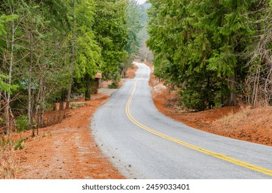 Mountain road with forest foreground in Vancouver, Canada, North America. Day time.