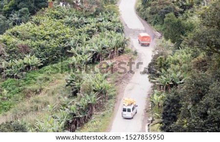 Mountain road going through tropical rainforest landscape, Madagascar