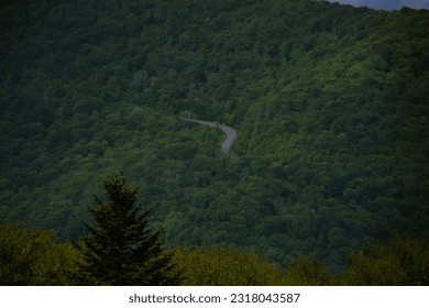 Mountain Road at Huckleberry Knob