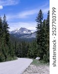 Mountain road near Leadville Colorado