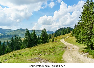 Mountain Road On Forrest Carpathians