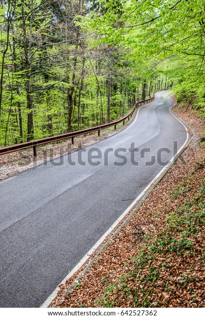 mountain road -\
outdoor activity and spring\
season