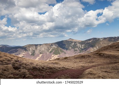 Mountain road with red rocks, dry, golden grass, distant, pointy mountain peak and highlands covered by pine trees and blue sky with fluffy clouds