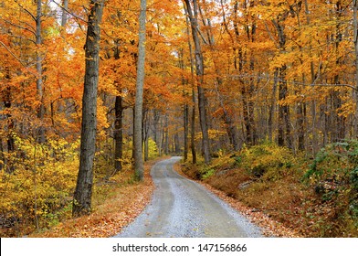 Mountain Road Through Fall Colors