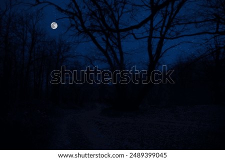 Mountain Road through the forest on a full moon night. Scenic night landscape of country road at night with large moon. Azerbaijan nature