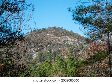 A mountain of rocks and trees