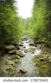 Mountain Rocky Brook In The Wilderness Of Ukrainian Carpathians