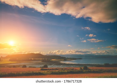 Mountain rural landscape, twilight time, sunset over field with trees, sunset sky