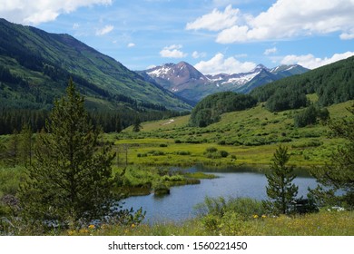  Mountain Scene In The Beautiful Crested Butte, CO