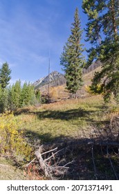 Mountain Scenery From The Bow Valley Parkway