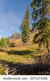 Mountain Scenery From The Bow Valley Parkway