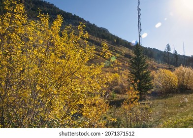 Mountain Scenery From The Bow Valley Parkway