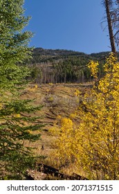 Mountain Scenery From The Bow Valley Parkway