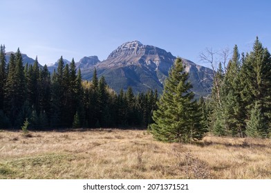 Mountain Scenery From The Bow Valley Parkway