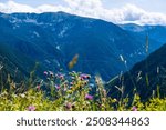 Andorra’s mountain scenery in the eastern Pyrenees, bordered by France and Spain, is famous for its beautiful landscapes and outdoor recreation.