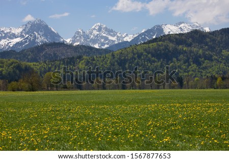 Similar – Image, Stock Photo mountain spring Mountain