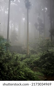 Mountain Scenery In Southwest China