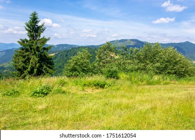 mountain scenery in summer. blue sky with clouds. green grass on the meadows. calm nature scenery of carpathian countryside