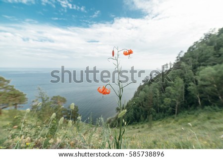 Mountain and sea.