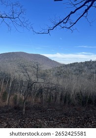 Mountain side from the blueridge