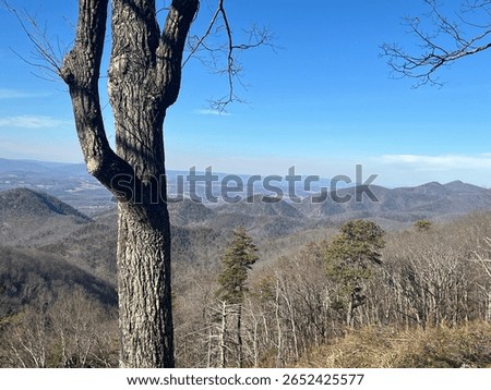 Mountain side from the blueridge