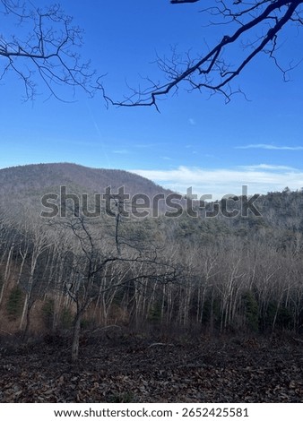 Mountain side from the blueridge