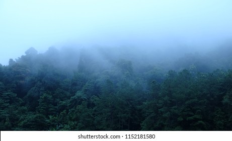 mountain side view