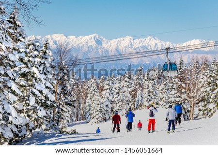 Mountain ski resort Shiga Kogen, Japan - nature and sport background, sunny day, snow pine trees