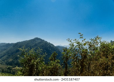 the mountain with sky background