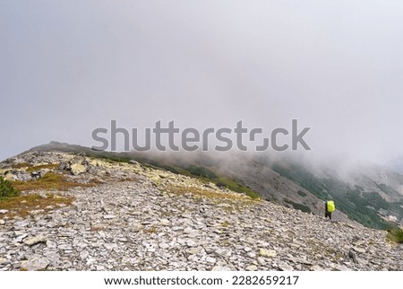 Mountain slope in the fog. Rocky slope.
Mountains from a bird's eye view. Carpathians - in summer. View of the mountains of Ukraine.
