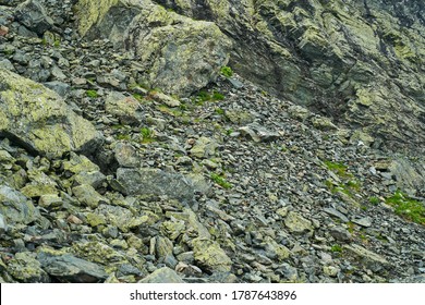 Mountain Slope With Scree (talus)