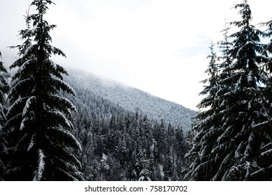 Mountain in the snow