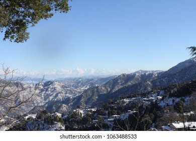 Mountain Snow Tress