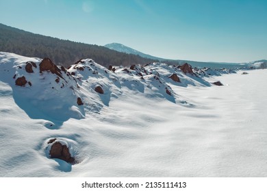 Mountain Snow Winter Frozen Turkey