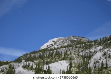a mountain with sparse trees