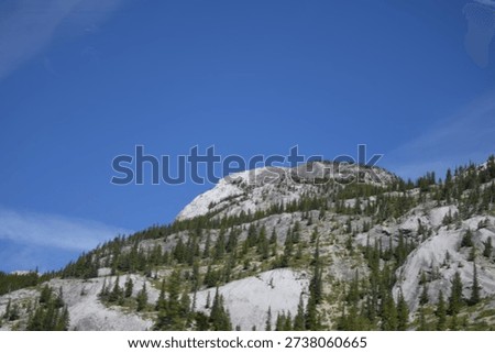 a mountain with sparse trees