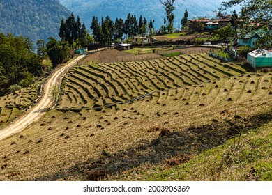 Mountain Step Farming Fields At Remote Village At Morning From Top Angle Image Is Taken At Tawang Arunachal Pradesh India.