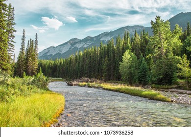 mountain stream in Banff Alberta Canada