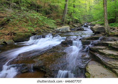 Mountain Stream Flowing Down The Allegheny Front In Ricketts Glen State Park Near Benton, Pennsylvania.