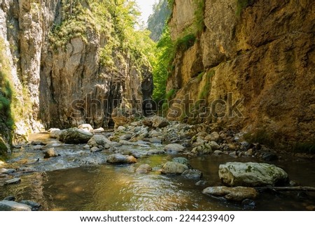 A mountain stream flowing through a canyon narrowed by vertical stone walls. The sharp, rocky cliffs of Ramet Gorges or Cheile Rametului ( Romania) during summer season in a sunny day. Natural tunnel.