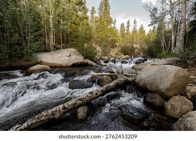 Mountain stream flowing through a dense Rocky Mountains forest