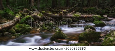 Mountain stream flowing through the forest in the Karkonosze Mountains