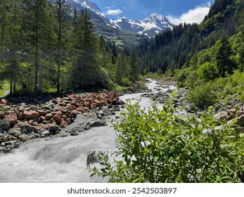 A mountain stream flowing through a huge lush valley - Powered by Shutterstock