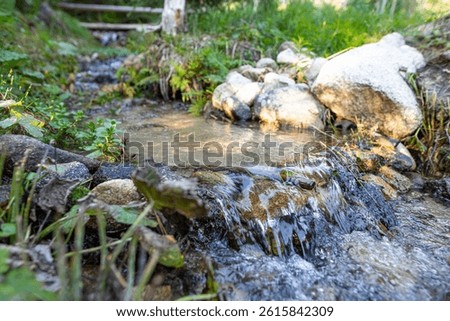 A mountain stream flowing through rocks and green grass in Slovakia