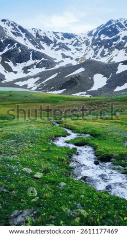 mountain stream flows from the mountain into the emerald-turquoise mountain glacial lake Syltrankel in summer. Elbrus National Park.