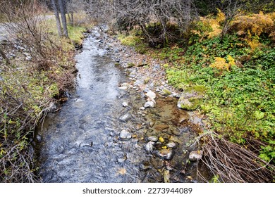 A mountain stream flows through the forest landscape.