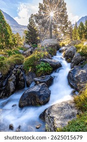 Mountain stream flows through rocks with bright sun rays filtering through tall pine trees. Sunlit mountain stream flowing over rocks, surrounded by lush greenery.