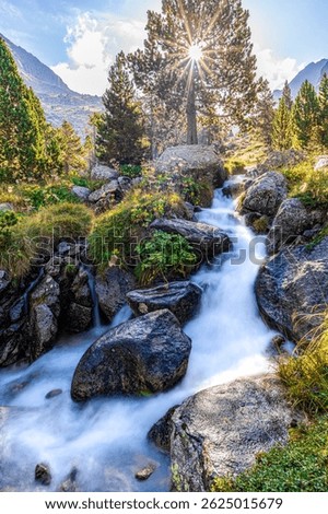Mountain stream flows through rocks with bright sun rays filtering through tall pine trees. Sunlit mountain stream flowing over rocks, surrounded by lush greenery.