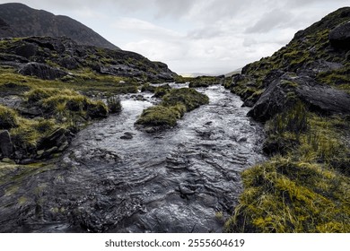 A mountain stream flows through a rocky valley. Grass and moss cover the banks. Cloudy sky overhead. - Powered by Shutterstock